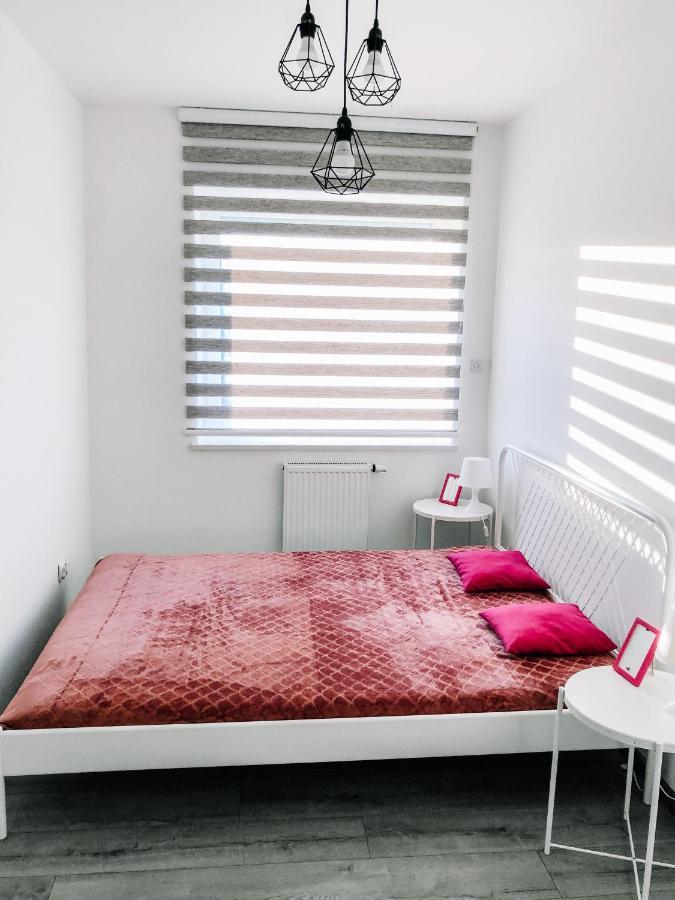 Appartement Bieszczadzkie Utulenie à Ustrzyki Dolne Extérieur photo
