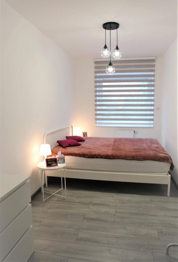 Appartement Bieszczadzkie Utulenie à Ustrzyki Dolne Extérieur photo